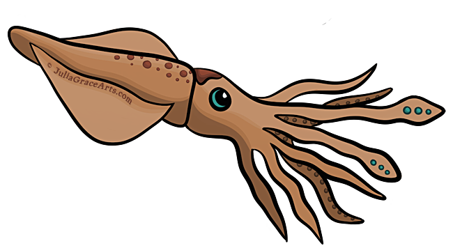 Digital drawing of squid comic cartoon using ArtRage