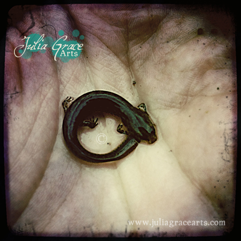 Hand holding a tiny little salamander larvae