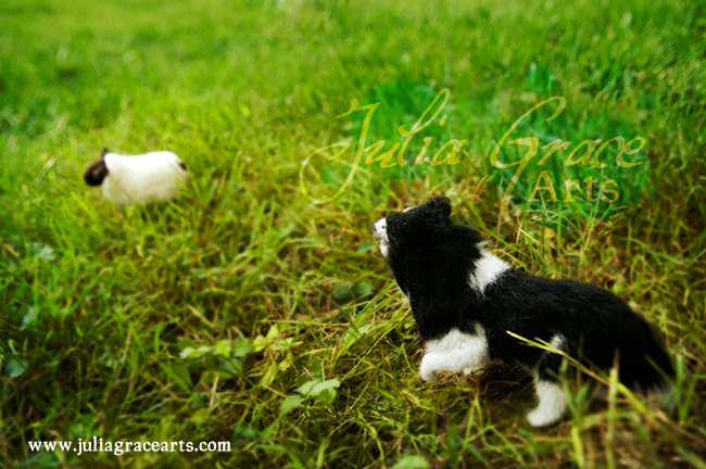 Needle felted border collie and sheep