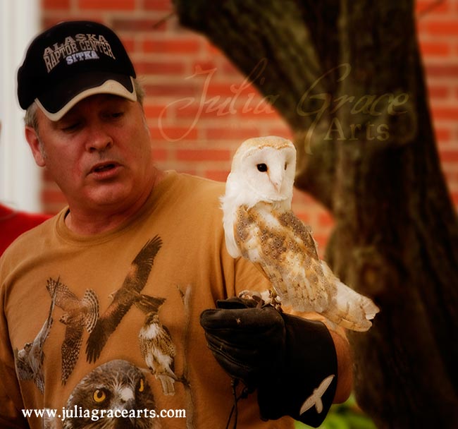 Falconer with a barn owl